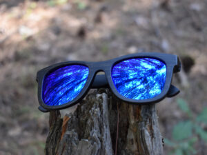 sunglasses-3140-9_6_02