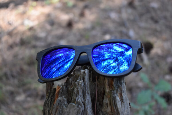 sunglasses-3140-9_6_02