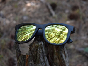 sunglasses-3140-9_8_03
