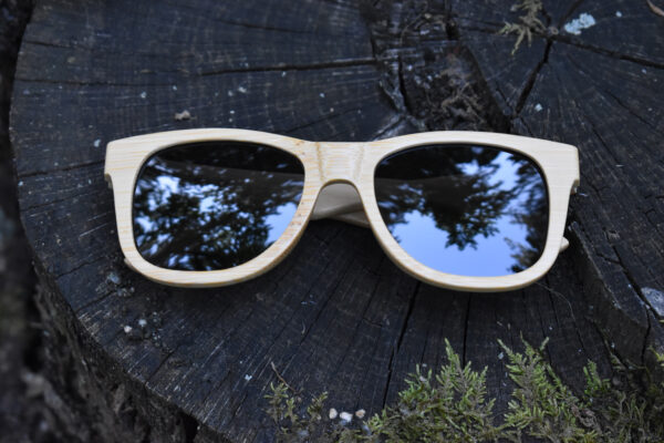 sunglasses-3210-9_1_01