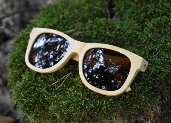 sunglasses-3210-9_2_03