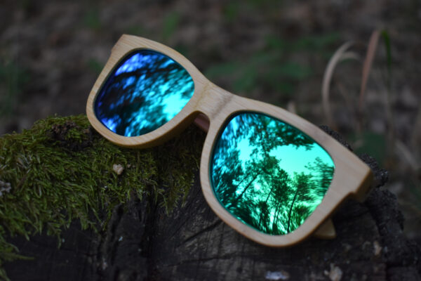 sunglasses-3210-9_3_01