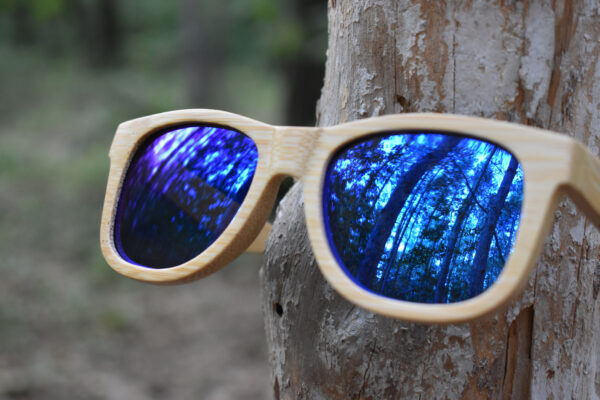 sunglasses-3210-9_6_01