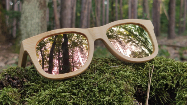 sunglasses-3210-9_9_01