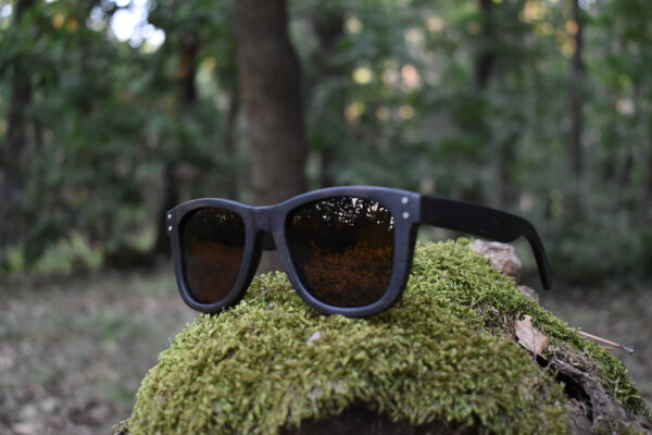 sunglasses-3750-1_2_03