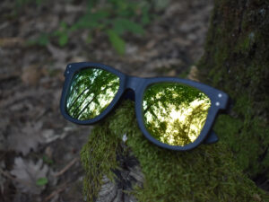 sunglasses-3750-1_8_02