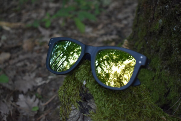 sunglasses-3750-1_8_02