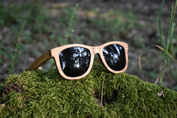 sunglasses-3750-2_1_01