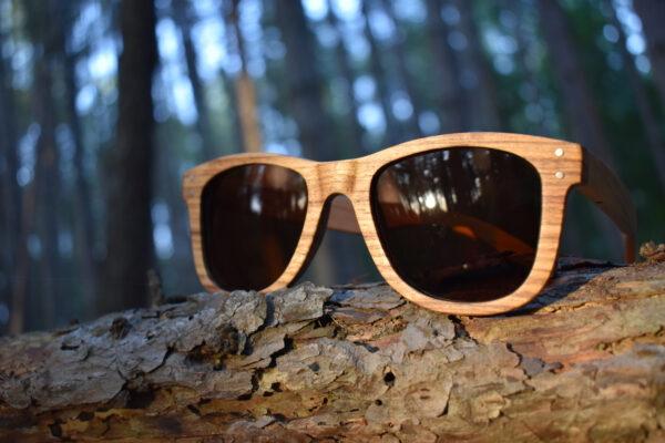 sunglasses-3750-2_2_01