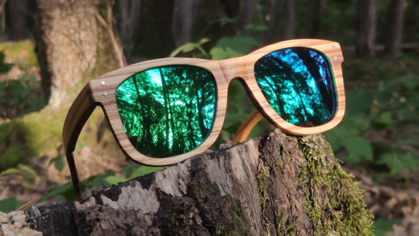 sunglasses-3750-2_3_01