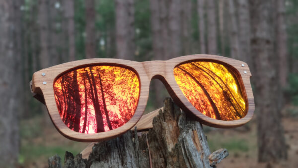 sunglasses-3750-2_4_01