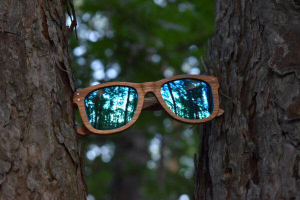 sunglasses-3750-2_7_01