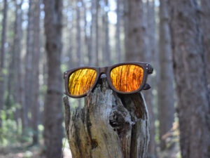 sunglasses-3750-4_5_05