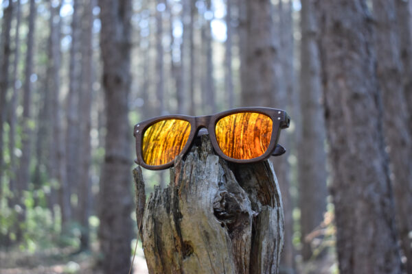 sunglasses-3750-4_5_05