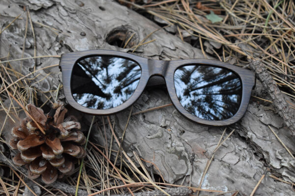 sunglasses-5860-1_1_03