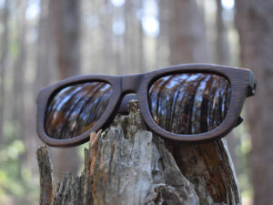 sunglasses-5860-1_2_05