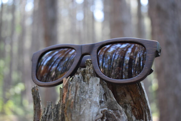sunglasses-5860-1_2_05