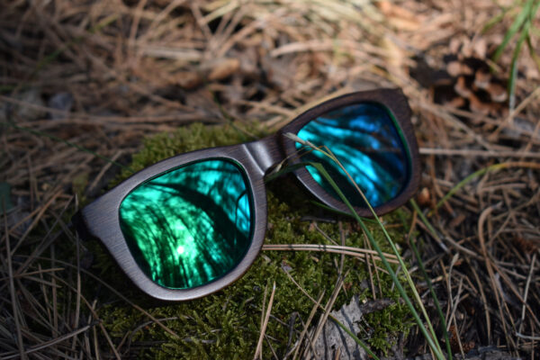 sunglasses-5860-1_3_06
