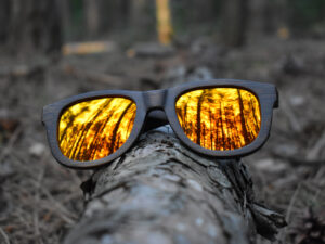 sunglasses-5860-1_5_06