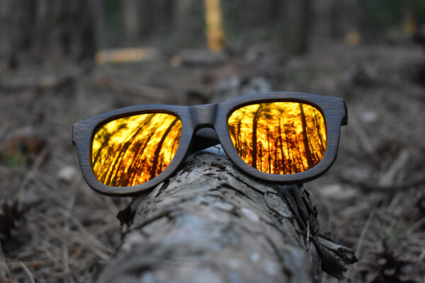 sunglasses-5860-1_5_06