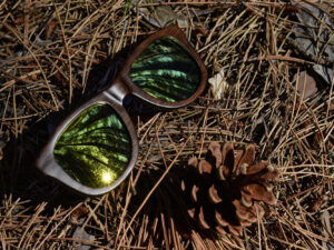 sunglasses-5860-1_9_05