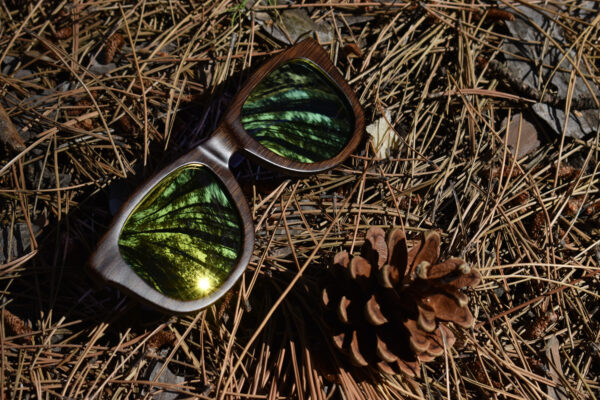 sunglasses-5860-1_9_05