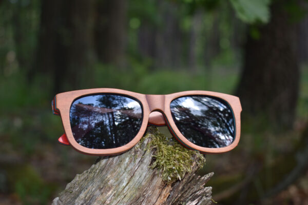 sunglasses-3210-5_1_01
