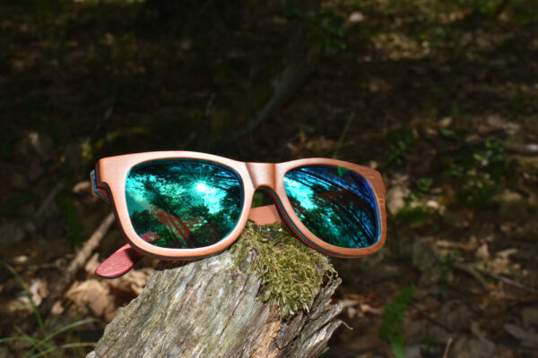 sunglasses-3210-5_3_01