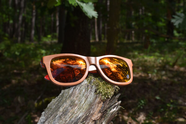 sunglasses-3210-5_4_01