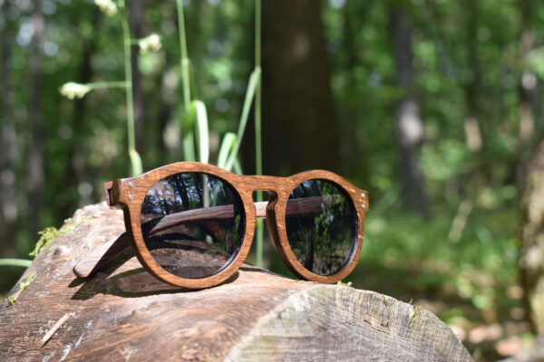 sunglasses-4260-2_1_01