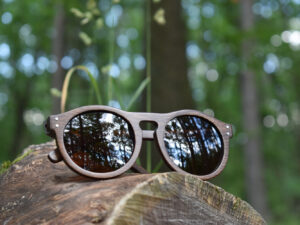 sunglasses-4260-2_2_01