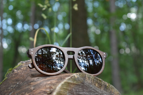 sunglasses-4260-2_2_01