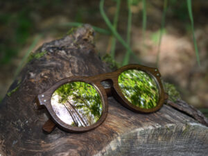 sunglasses-4260-2_9_01