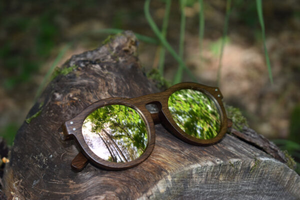 sunglasses-4260-2_9_01