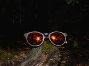 sunglasses-4510-2_4_01