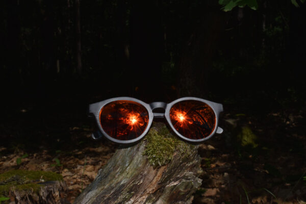 sunglasses-4510-2_4_01