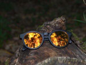 sunglasses-4510-2_5_01