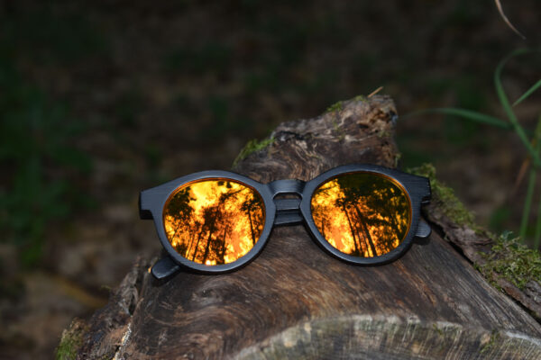 sunglasses-4510-2_5_01