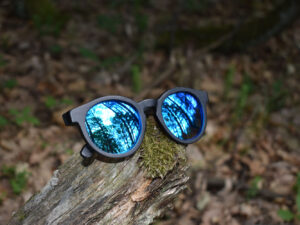 sunglasses-4510-2_7_01