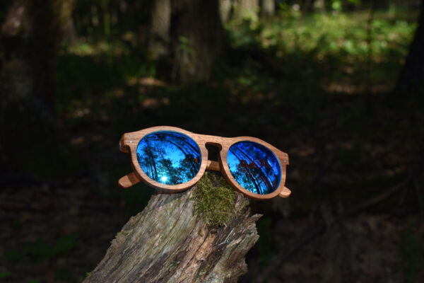 sunglasses-3260-3_7_01