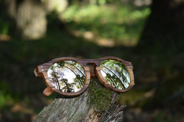 sunglasses-3260-3_9_01