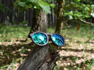 sunglasses-4260-2_3_01