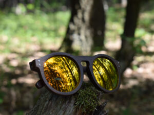 sunglasses-4260-2_5_01