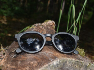 sunglasses-4510-2_1_01