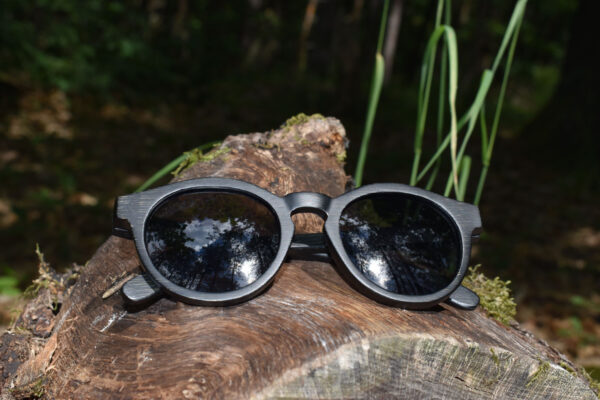 sunglasses-4510-2_1_01