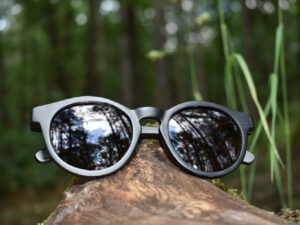 sunglasses-4510-2_2_01