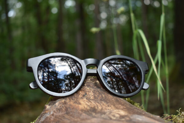 sunglasses-4510-2_2_01