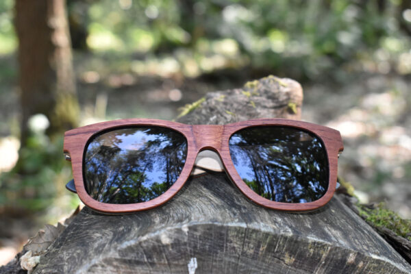 sunglasses-3210-6-1-01