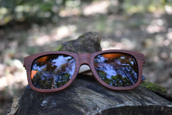 sunglasses-3210-6-2-02