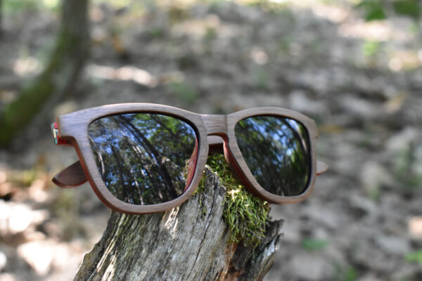 sunglasses-5660-1-1-01